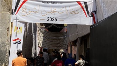 «نزلنا وشاركنا».. يوم المسيرات الوطنية فى الجيزة 