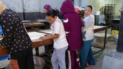 العمل بأسيوط: حملات تفتيشية لمكافحة عمل الأطفال في ابوتيج