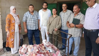 ضبط وإعدام 220 كيلو أسماك ولحوم غير صالحة للاستهلاك الآدمي في حملة مكبرة بسوهاج 