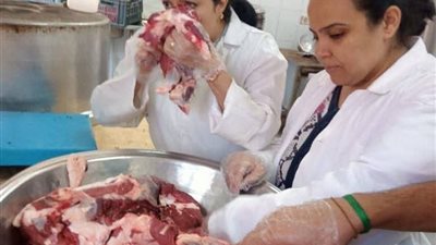 الطب البيطري بسوهاج يوزع 80 رأس أغنام للمستفيدين بعرابة أبو عزيز