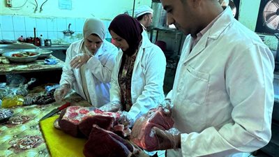 حملات مكثفة للطب البيطري لضمان سلامة اللحوم وصحة المواطنين بسوهاج 