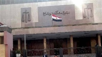 جنايات سوهاج تحيل أوراق ربة منزل وعشيقها للمفتى لاتهامهما بقتل الزوج