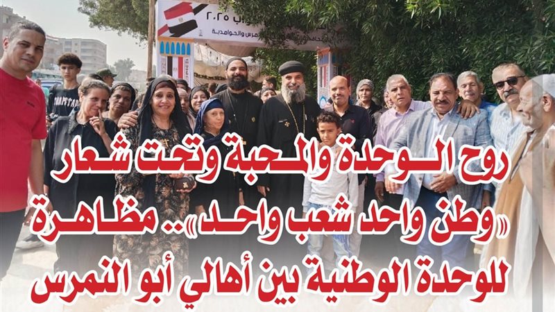 جانب من مشاركة الناخبين