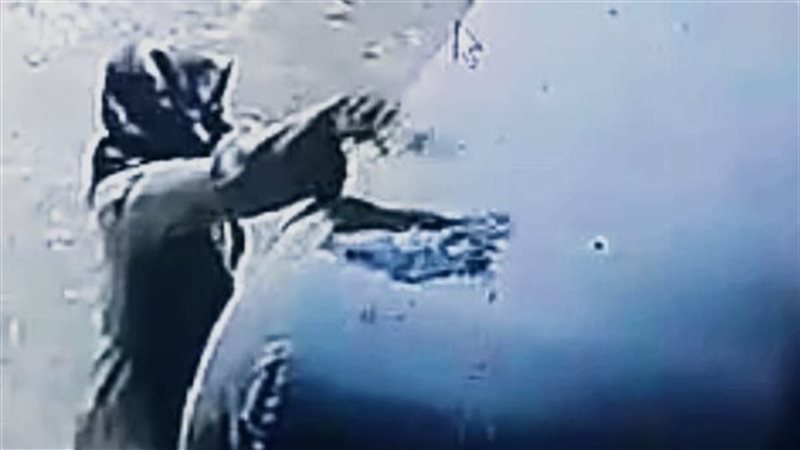 صوره ارشيفية 