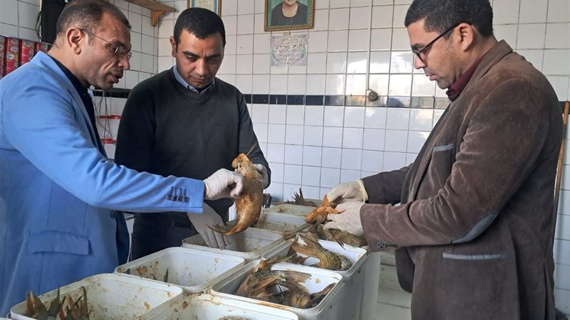 جانب من الحملة 