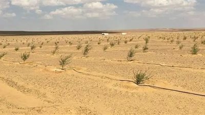 نائب ضد الشعب .. كيف انفضحت ادعاءات 