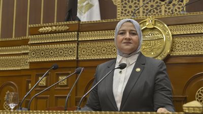 النائبه مروة قنصوة: تأسيس «الفجيرة العلمين للنفط والغاز» يعكس قوة الشراكة المصرية الإماراتية ويدعم مكانة مصر كمركز إقليمي لتجارة وتداول الطاقة