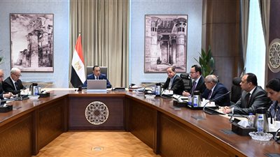 رئيس الوزراء: 20 شركة ضمن القيد المؤقت ونعمل على استكمال طرح شركات جديدة