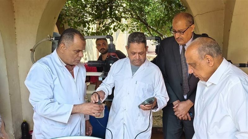 الشورى