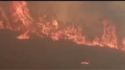 الحماية المدنية الجزائرية: إخماد 118 حريقًا من أصل 123 خلال 24 ساعة