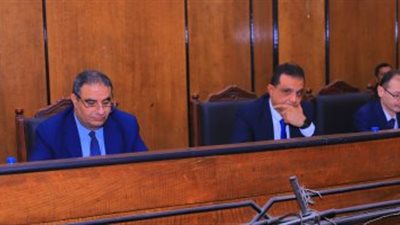 إحالة المتهم بالتعدى على طفلة بالشرقية للمفتي