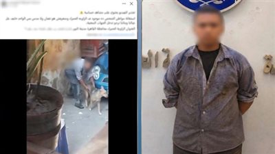 القبض على متهم بالتعدي على كلب في القليوبية 