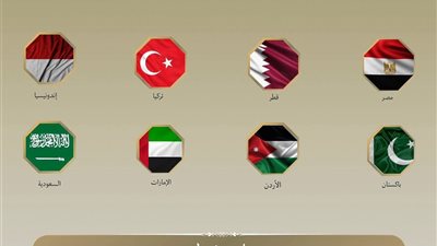 بيان مشترك.. 8 دول عربية وإسلامية تدين دعوات تهجير الفلسطينيين من غزة وتحذر من تداعياتها