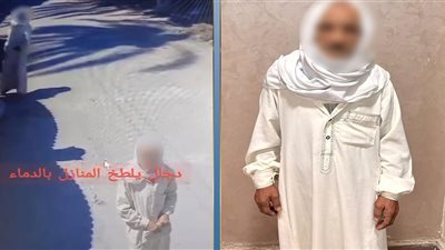 الداخلية تكشف حقيقة فيديوهين أثارا الجدل بالبحيرة والأقصر.. لا دجل في الواقعة الأولى وسلاح أبيض في الثانية
