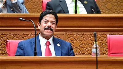 النائب علاء الحديوي: مشاركة الرئيس السيسي في قمة بريكس تفتح آفاقًا للتعاون في مجالات التجارة والاستثمار