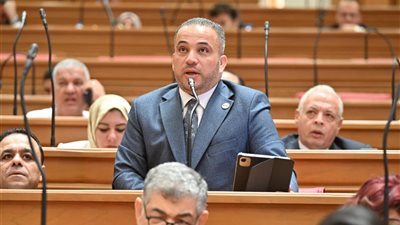 عضو لجنة الإسكان بالنواب: زيارة الرئيس السيسي للهند تعكس انفتاح مصر على العالم وتعزز الشراكات الدولية