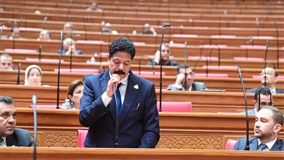 النائب علاء الحديوي: العلاقات المصرية السعودية نموذج للتكامل.. وأمن المملكة والخليج جزء من الأمن القومي المصري