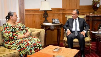وزير الخارجية: يجدد دعم مصر للحل “الليبي-الليبي” وإجراء الانتخابات الرئاسية والبرلمانية بالتزامن