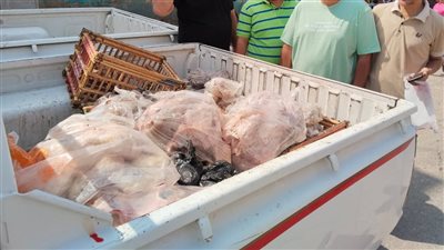 التحفظ على 500 كجم من لحوم مجمدة غير صالحة للاستهلاك في حملة  ببني سويف 
