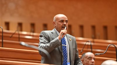 النائب محمد أبو الخير في ذكرى نصر أكتوبر: ملحمة خالدة سطرها أبطال مصر بدمائهم