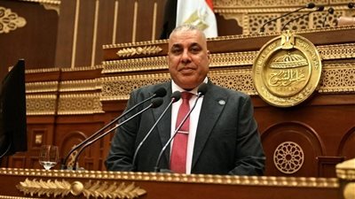 النائب محمد أبو النصر: الجولة الآسيوية للرئيس السيسي تفتح مسارات جديدة للتعاون الاقتصادي والاستثماري وتعزز قدرة الاقتصاد الوطني