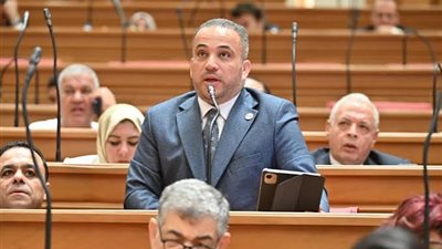 النائب هاني شحاتة يطالب بمنح الموظف المتعاطي فرصة ثانية للعلاج قبل الفصل.. «مراعاة للأسرة»