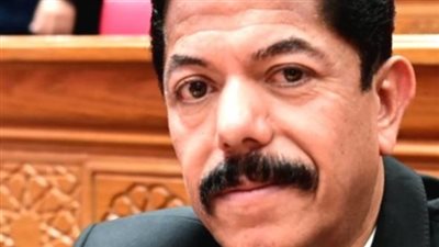 النائب علاء الحديوي: استهداف المنشآت المدنية والمطارات السعودية اعتداء مرفوض.. ومصر تقف صفًا واحدًا إلى جانب الأشقاء