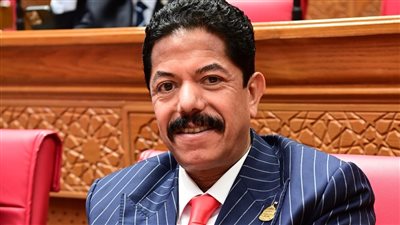 النائب علاء الحديوي: اعتراض الرئيس السيسي على المادة 25 يؤكد أولوية المساواة أمام القانون