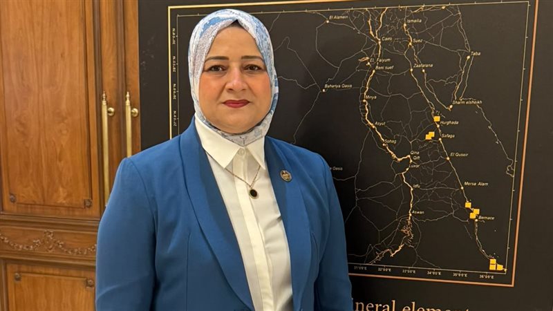 النائبه مروة قنصوة