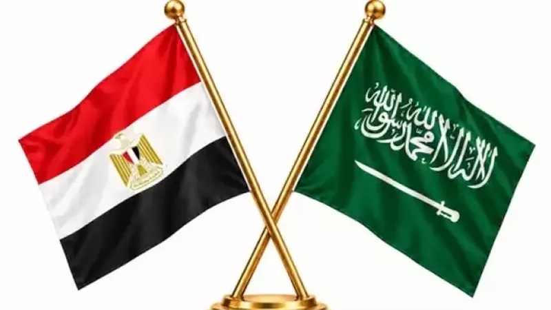 ارشيفيىة