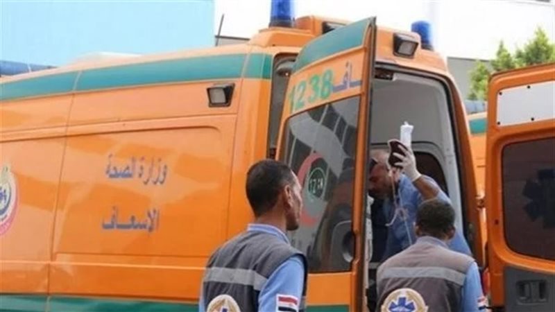 ارشيفيىة