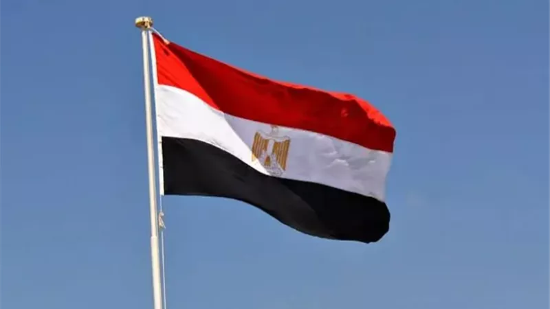 ارشيفيىة